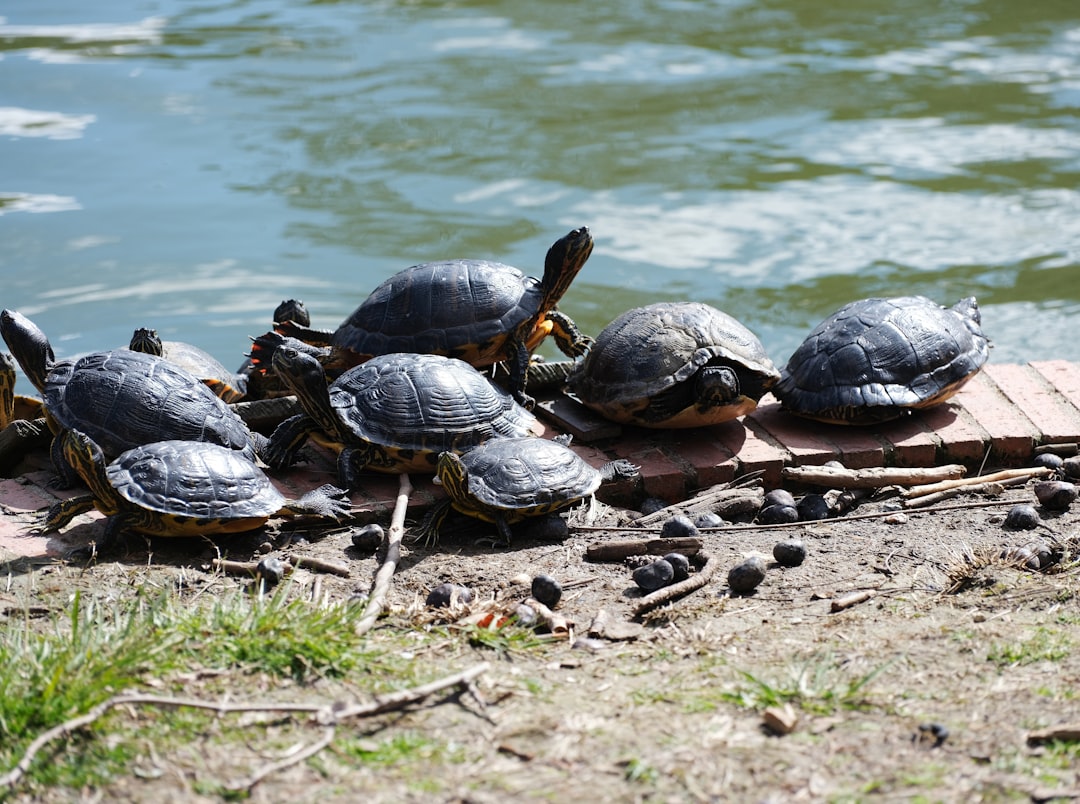 imagen mostrando soporte informático Madrid y su entorno empresarial